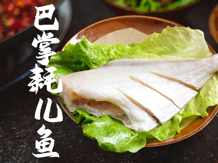 巴掌耗儿鱼